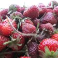 
Merendine Alle Fragole.
