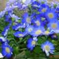 Pulizie di primavera: cosa butto e cosa tengo