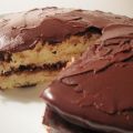 CHOCOLATE SPONGE CAKE