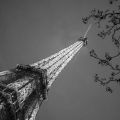 Parigi, secondo giorno: Bastiglia, quartiere[...]