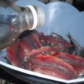 ACCIUGHE CON CIPOLLA IN AGRODOLCE