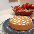 Torta soffice con sciroppo d'agave!