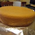 Il Pan di Spagna/Sponge cake
