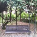 POESIA E FORNELLI