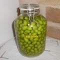 OLIVE IN SALAMOIA