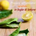PROVOLA AFFUMICATA ALLA GRIGLIA SU FOGLIE DI[...]