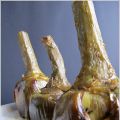 Carciofi alla romana