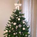 Un albero di Natale tutto bianco e argento