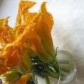 Fiori di zucca ripieni al caprino