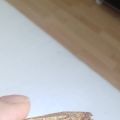 Cantucci con farina di teff, stevia, mandorle e[...]