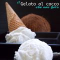 Gelato al cocco che non gela con solo 2[...]