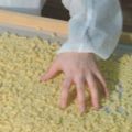 PASTASTORE:LA PASTA ARTIGIANALE DI QUALITA'