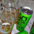 GO E FUN L'ENERGY DRINK TUTTO NATURALE