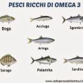 Acidi grassi omega 3 vegetali e animali, guida[...]