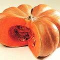 Sformatini di Zucca con Bacon e fonduta di[...]