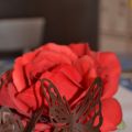 FARFALLE di Cioccolato e ghirigori vari