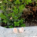 Orecchini realizzati in Fimo a forma di rosa!!