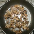 FUNGHI