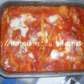 LASAGNE DELLA DOMENICA AL FORNO