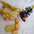 BISCOTTI DI VETRO