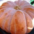 torta di zucca