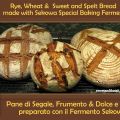 Rye Bread made with Sekowa Starter, Pane alla[...]