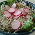 Insalata di palmito e germogli