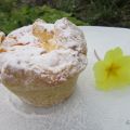 cestini ripieni di ricotta soffiata