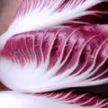Radicchio ricoperto di prosciutto