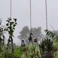 ODIO L'ESTATE