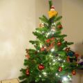 Don't read this post if you don't like Christmas