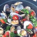VONGOLE VERACI LIGHT