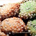 Biscotti all'Anisette