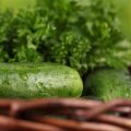 ROTOLO RIPIENO DI VERDURE