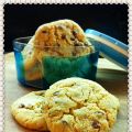 COOKIES...IL BISCOTTO SECONDO GLI STATES