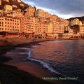 “Arrivederci, Gentil Foresto”. L’arrivederci di[...]
