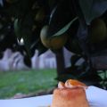 Il tortino che bontà!