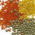 Legumi: Lenticchia gustosa