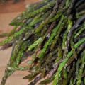 Conserva agrodolce di asparagi selvatici