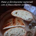 Pane al finocchietto selvatico, un ricordo di[...]