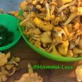 Funghi Galletti (Finferli) e Patate