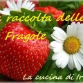 Semifreddo alle fragole!