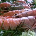 Scampi accompagnati con salsa di vino bianco
