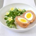 Scotch eggs