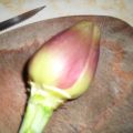 PULIRE I CARCIOFI