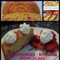 Rhubarb and Strawberry Sponge Cake - Pan di[...]