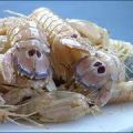 Canocchie ripiene al forno