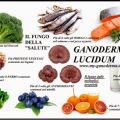 GANODERMA LUCIDUM... QUELLO CHE NON SAPEVI, TE[...]