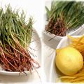 Spaghetti alla chitarra con agretti e limone