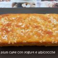 PLUM CAKE YOGURT E ALBICOCCHE